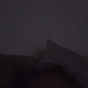 Meet your Posher, Evelyn